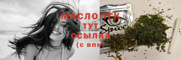 спайс Богданович