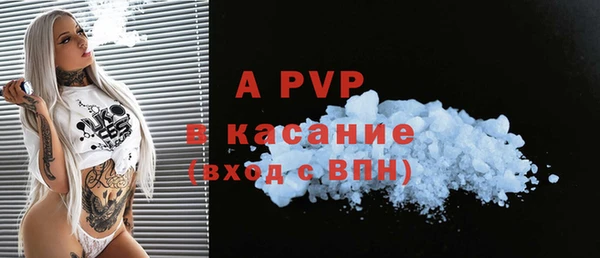 спайс Богданович