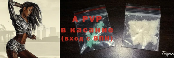 соль ск Пересвет