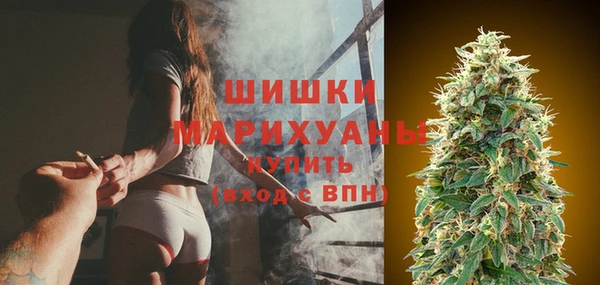 бошки Богородицк