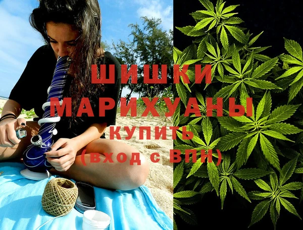 спайс Богданович