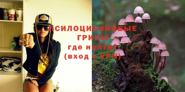 спайс Богданович