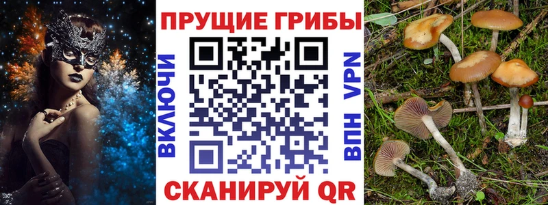 даркнет сайт  Дюртюли  kraken сайт  Галлюциногенные грибы GOLDEN TEACHER 